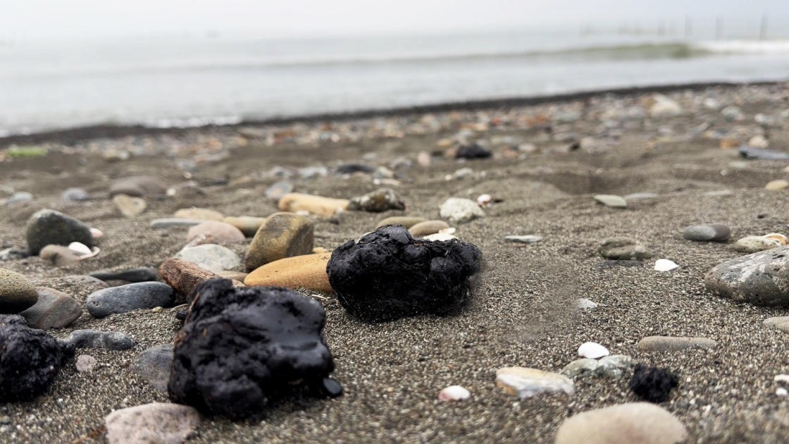 На побережье Каспия в Азербайджане обнаружили нефтяные пятна