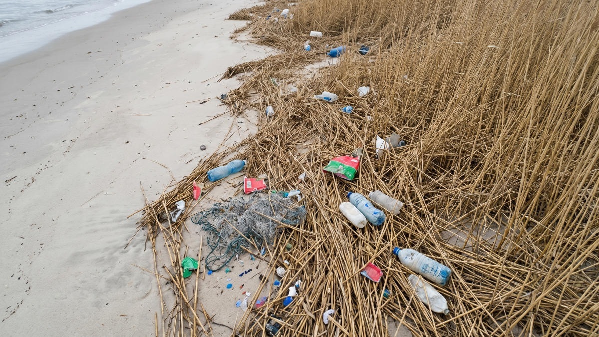 Каспийский пластик: как падение уровня моря создает мусорные ловушки